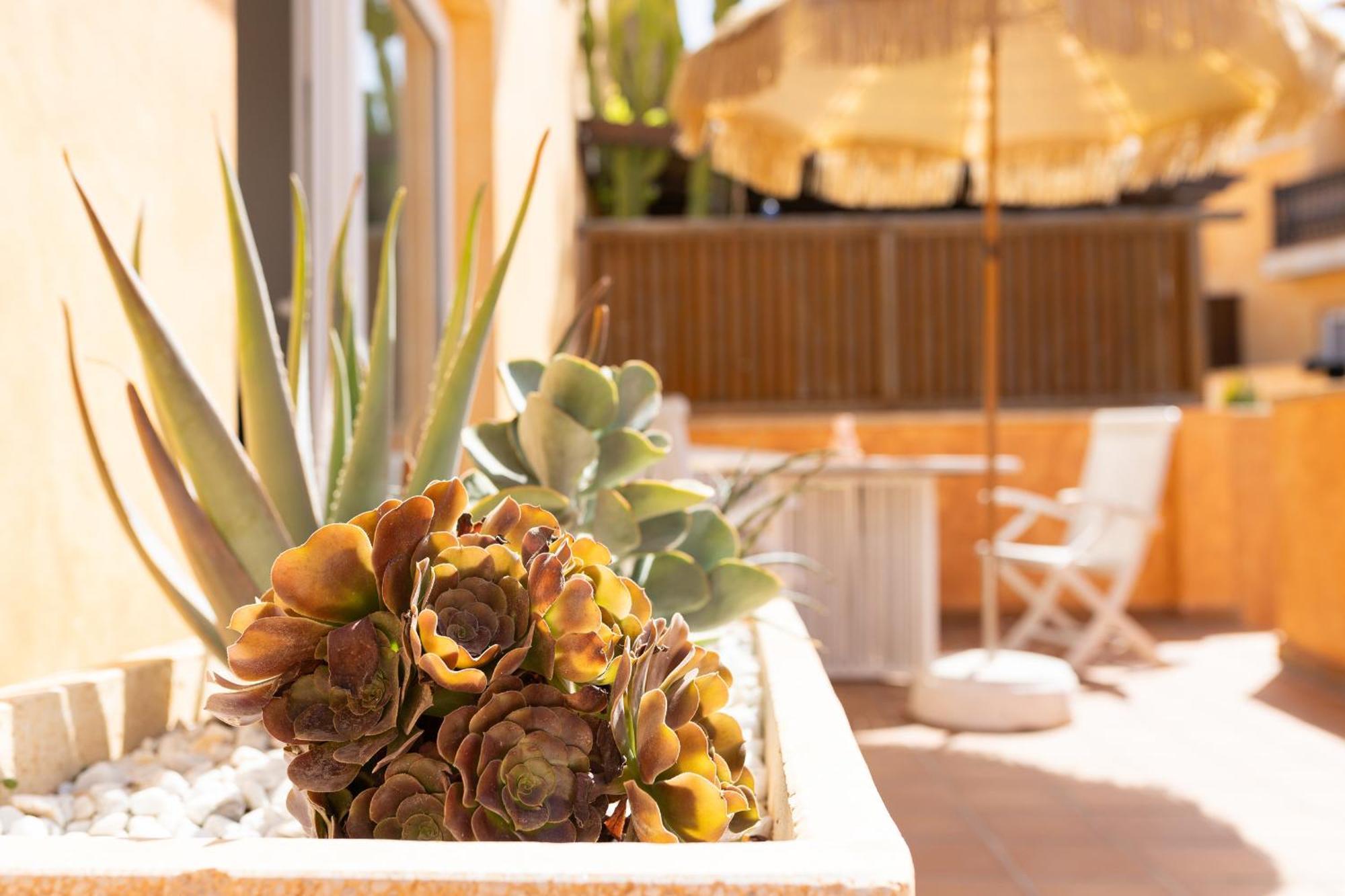 Palm Beach House Corralejo Exteriér fotografie